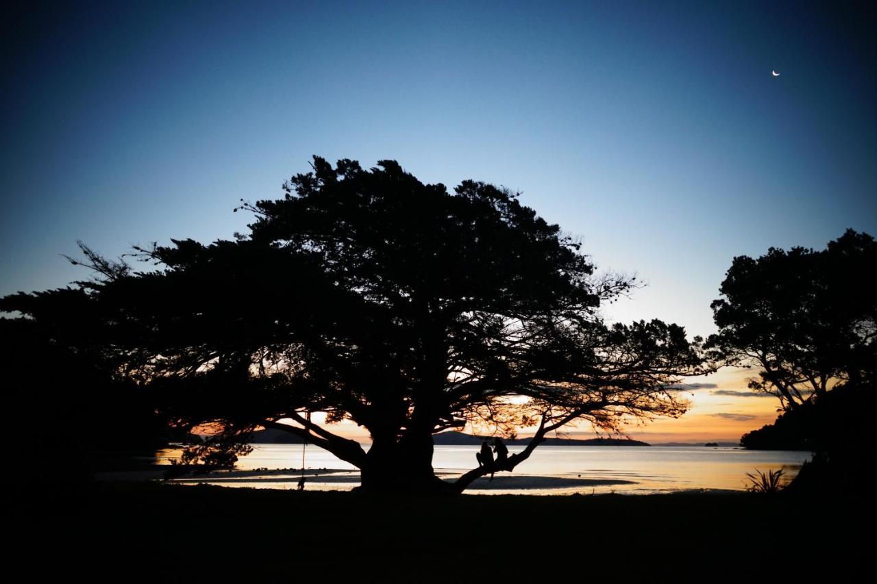 Shelly Beach Top 10 Holiday Park Coromandel Esterno foto